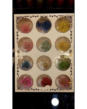 گل خشک طراحی ناخن